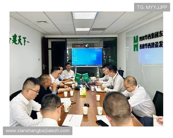 dg视讯来自哪个国家，了解其国际背景与发展现状