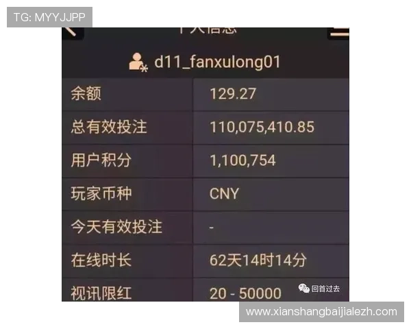 使用百家乐路单分析软件：实用工具介绍及提升盈利的技巧总结