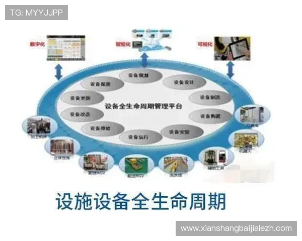 详细介绍K8视讯下载的系统兼容性，支持多平台多设备使用